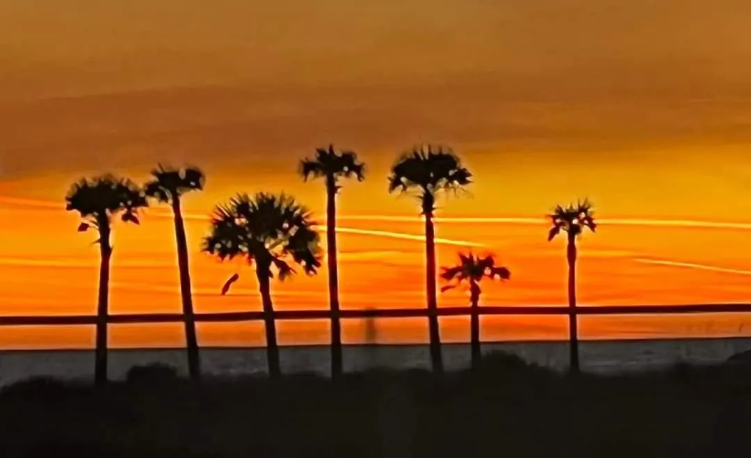 Shores Of Panama 621-Sleeps 8, Free Beach Fun! Reserved Parking Space! Condo Panama City Beach 0*,